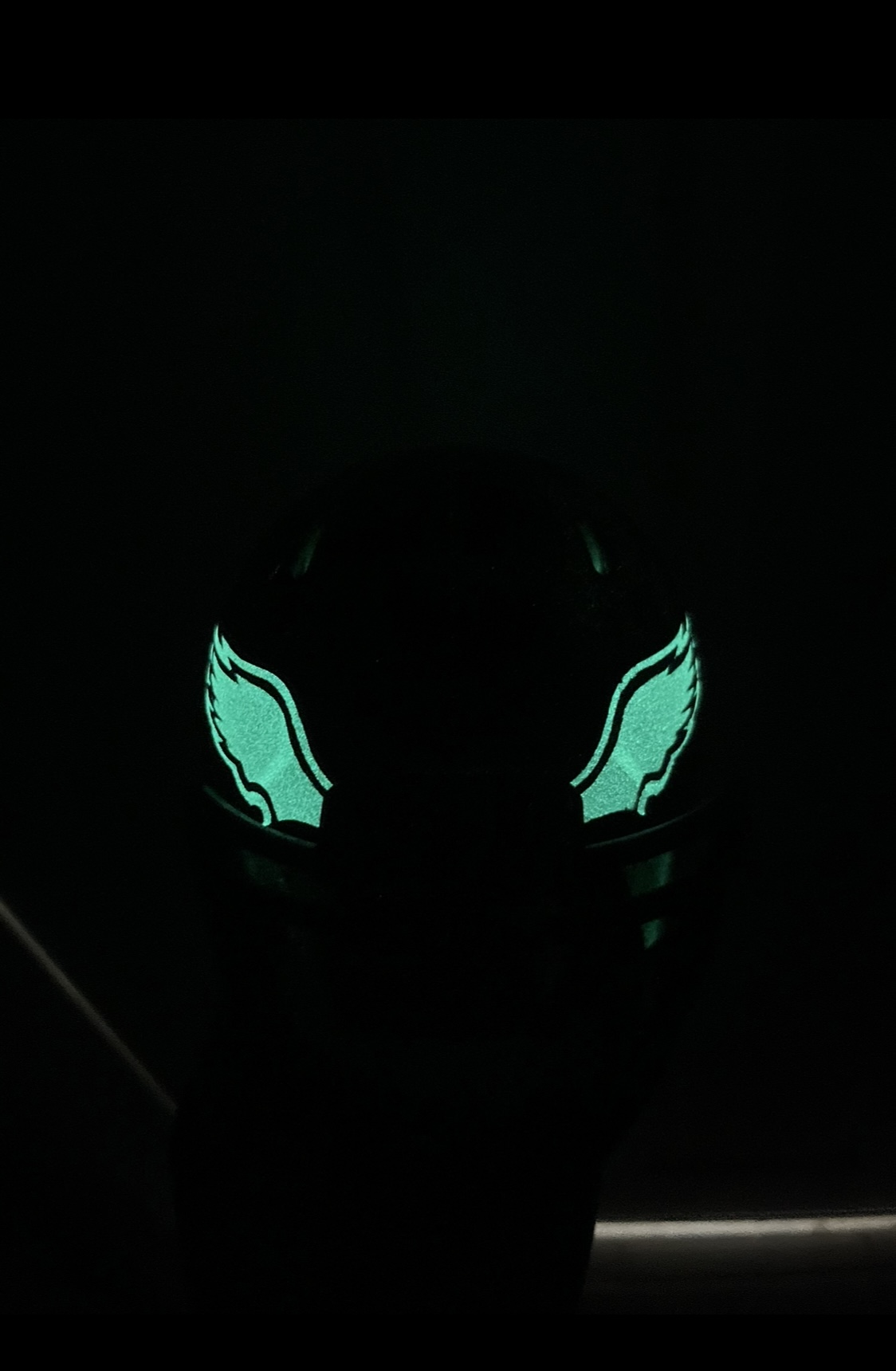 CUSTOM Mini Football Helmet (CHOOSE YOUR TEAM) - Image 6