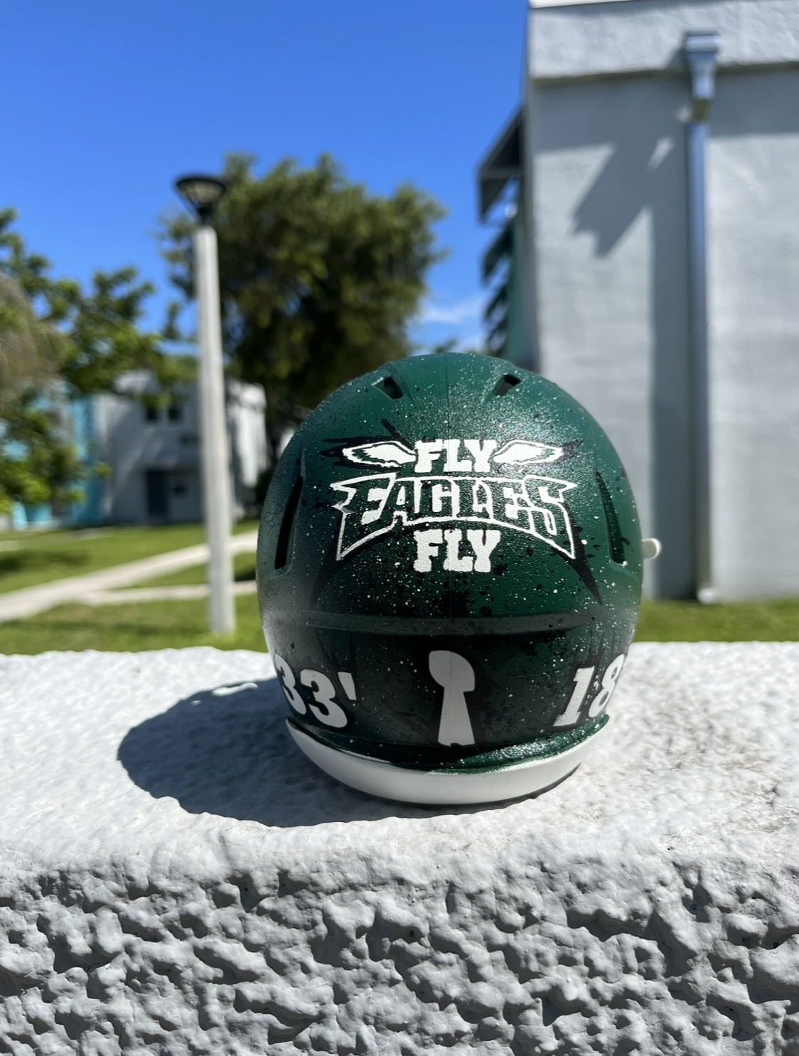 CUSTOM Mini Football Helmet (CHOOSE YOUR TEAM) - Image 4
